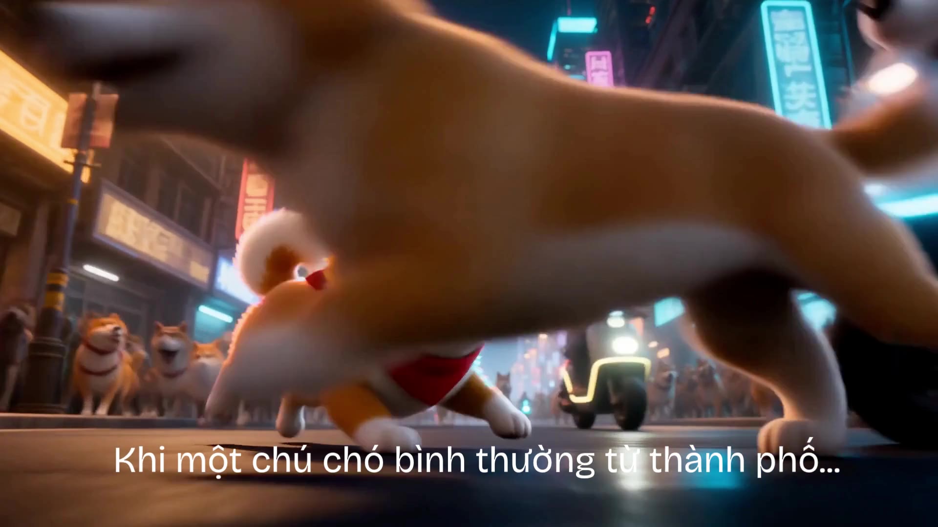 Ordinary Dog — cinematic ad